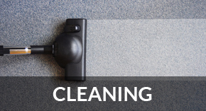 carpet cleaning