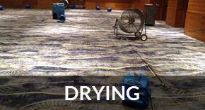 water damage carpet drying