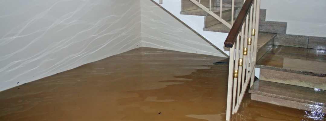 water damage carpet cleaning